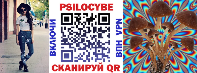 как найти   ссылка на мегу зеркало  Псилоцибиновые грибы мухоморы  Бакал 