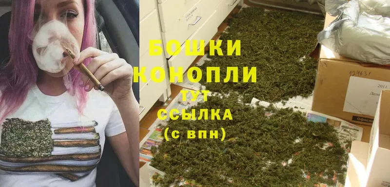 мориарти как зайти  Бакал  МАРИХУАНА Bruce Banner  где найти наркотики 